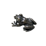 Ghost frog pendant on 18” sterling chain