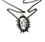7 Deadly Seeds Datura Pod Necklace