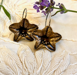 Black Henbane Bronze Earrings